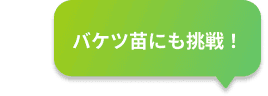 吹き出し5