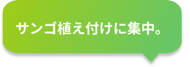 吹き出し4