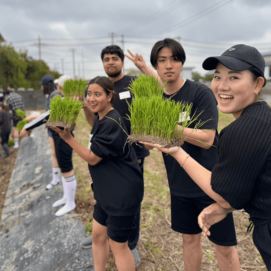 みんなで田植えをしている写真